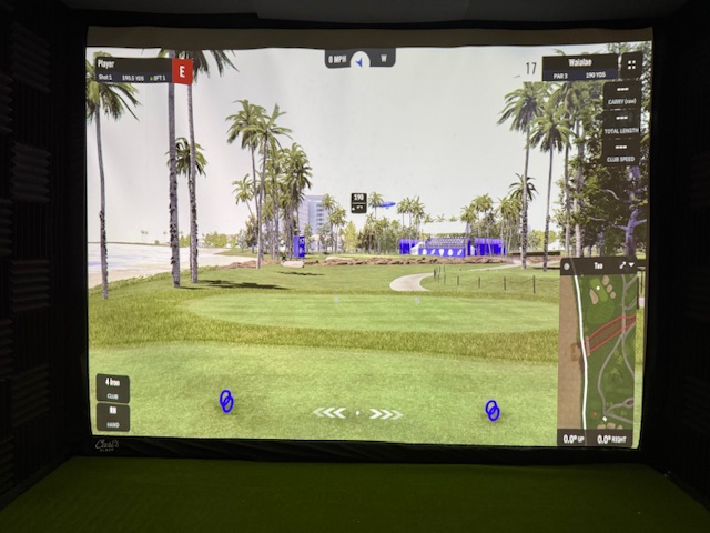 golf simulator